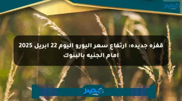 قفزة جديدة: ارتفاع سعر اليورو اليوم 22 أبريل 2025 أمام الجنيه بالبنوك